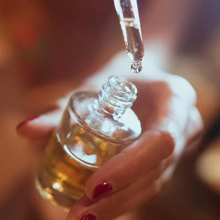 Le Hameau 1er Chamonix